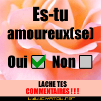 t amoureux (se)??